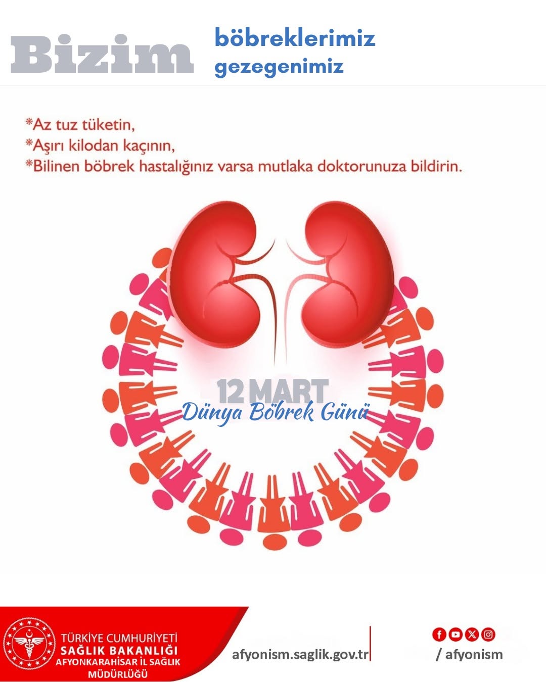 Böbrek Hastalıkları ve Çevre Sağlığı İlişkisi