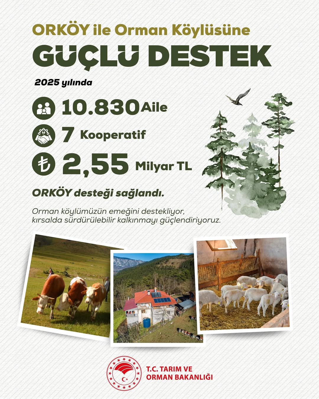 ORKÖY Programı Kapsamında Orman Köylülerine 2,55 Milyar TL Destek