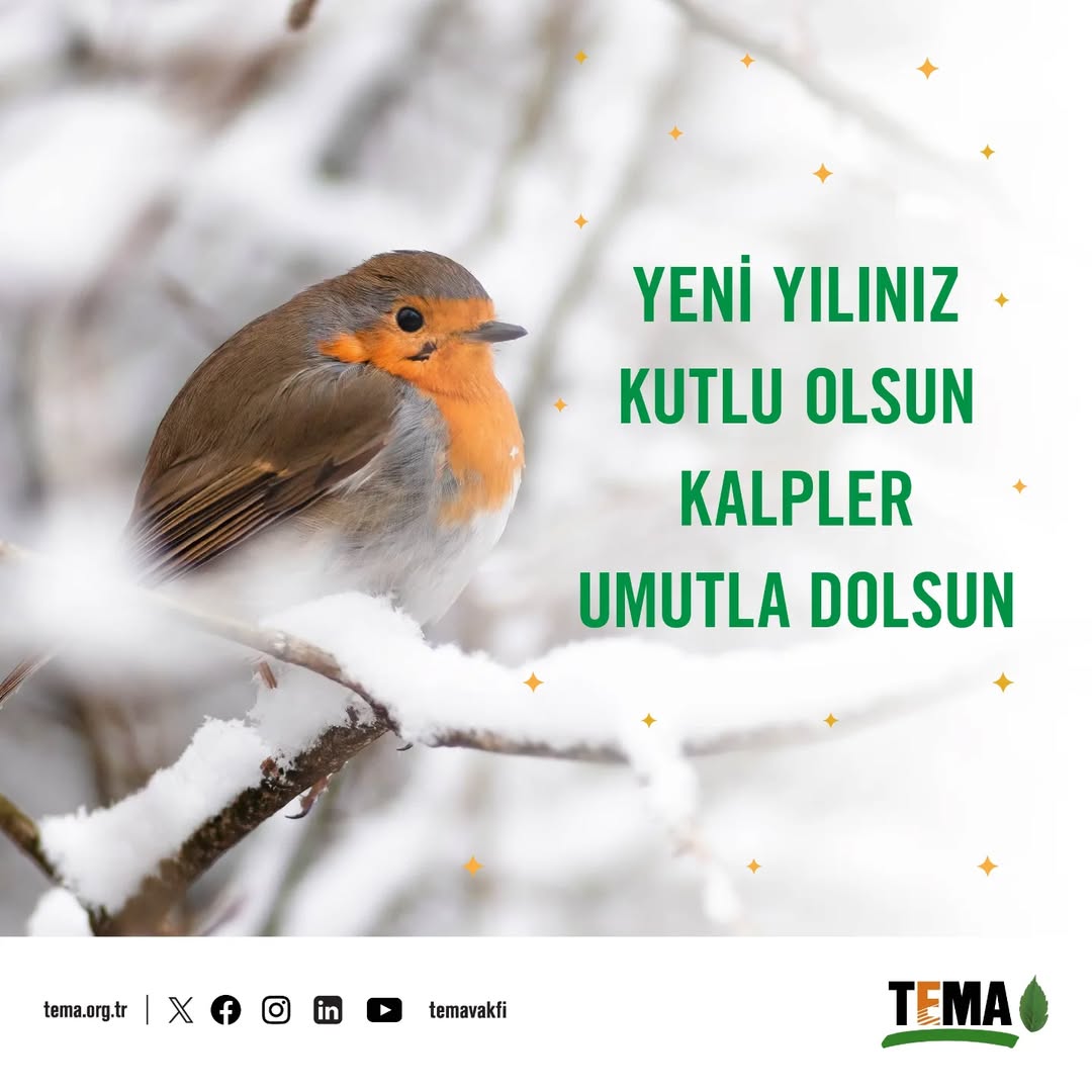 Tema Vakfı Afyonkarahisar Çay İlçe Sorumluluğu'ndan Yeni Yıl Kutlaması