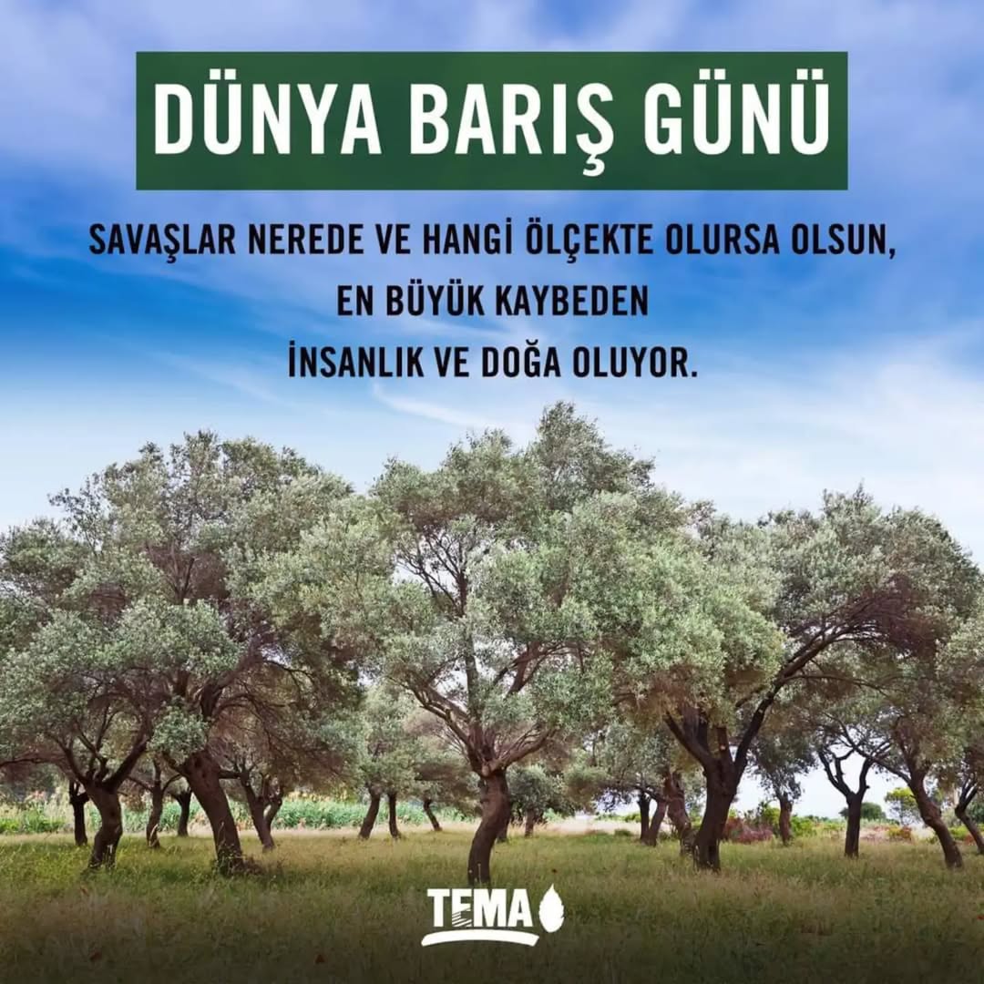 Savaşların Ekolojik Yıkıma Etkisi: Can ve Mal Kayıplarının Ötesinde Bir Tehlike