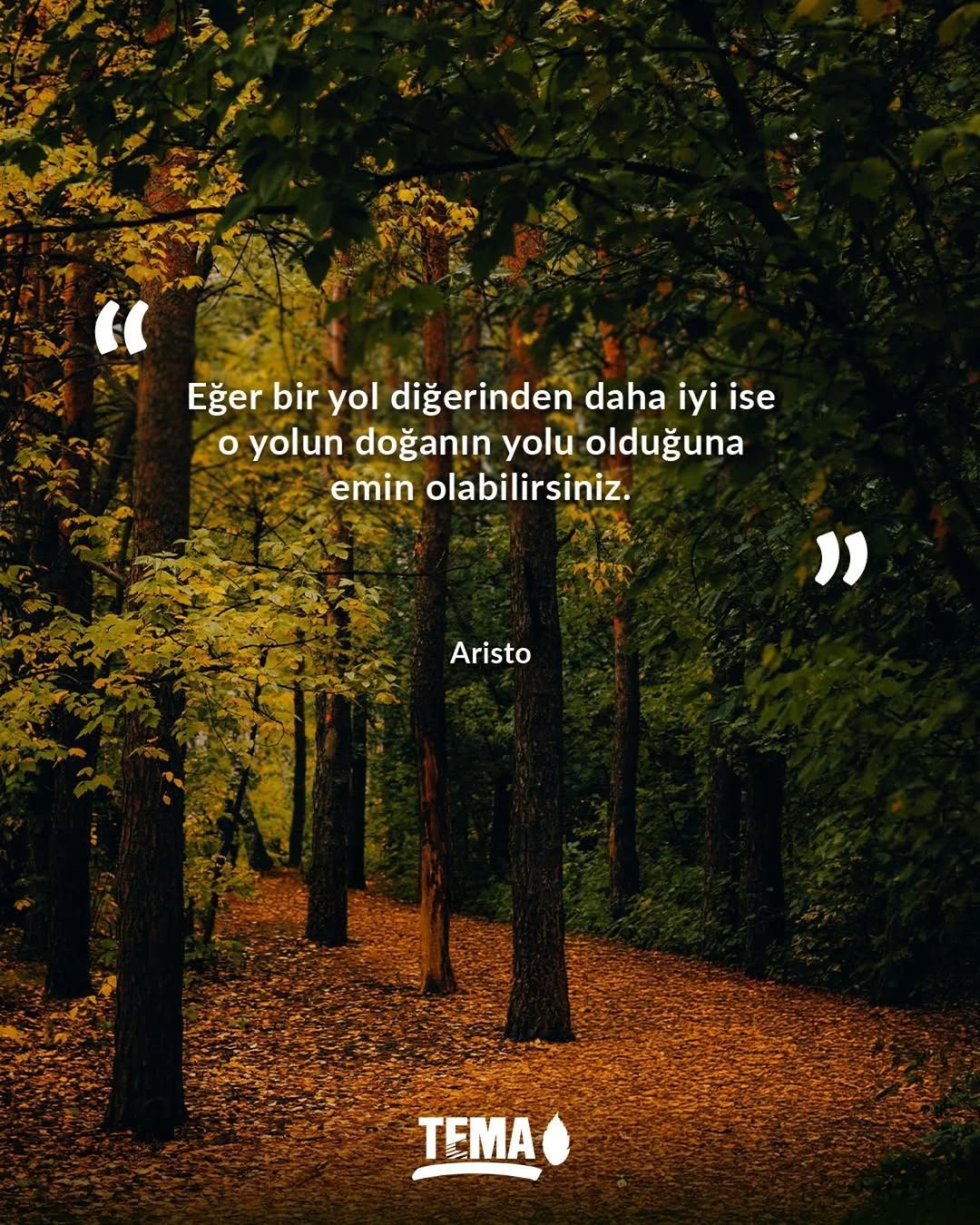Doğanın Yolu Her Zaman En İyisidir - Aristo Sözü