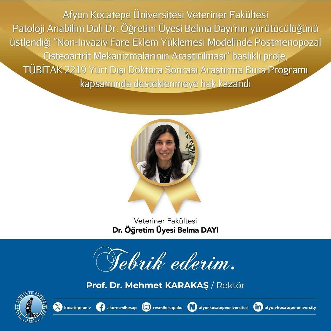 Afyon Kocatepe Üniversitesi'nin Eğitimdeki Öncü Rolü