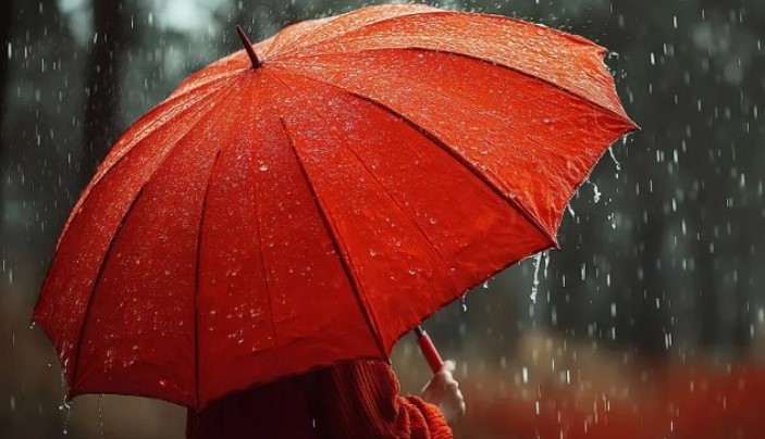 izmir ve Çevresine Kuvvetli Yağış Uyarısı: Sel ve Su Baskınlarına Dikkat - 1